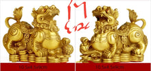 Load image into Gallery viewer, A Pair of Chinese Feng Shui Good Fortune Wealth Gold Money Pixiu/Dragon/Lions Statue Home/Office Decor Sculpture Craft Living Room TV Cabinet Fortune Ornament Housewarming Gift