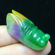 Load image into Gallery viewer, 10% OFF- Certified Natural Multi-Color Jadeite Emerald Jade Cicada 一鸣惊人 Pendant