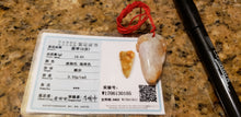 Load image into Gallery viewer, 10% OFF- Certified Natural Red Yellow Jadeite Emerald A*Jade HandCarved Lucky Dragon Pendant W0105