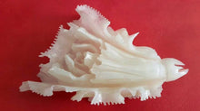 Load image into Gallery viewer, 7''L-Chinese Genuine Natural White Jade Handcarved Lucky Cabbage Statue