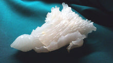 Load image into Gallery viewer, 7''L-Chinese Antique Genuine Natural White Jade Handcarved Lucky Cabbage Statue