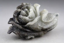 Load image into Gallery viewer, 4.5'' L-Chinese Genuine Natural White Gray Jade Handcarved Lucky Cabbage 0154