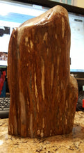 Load image into Gallery viewer, 9.25in/234.95mm H 7.08lbs/3215g- Genuine Natural Royal Red Sodalite Rainforest WoodStone Statue