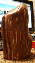 Load image into Gallery viewer, 9.25in/234.95mm H 7.08lbs/3215g- Genuine Natural Royal Red Sodalite Rainforest WoodStone Statue