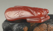 Load image into Gallery viewer, 10% OFF- Certified Natural Jadeite Emerald Jade Handcarved Cicada Pendant《Grade A》NO.C855